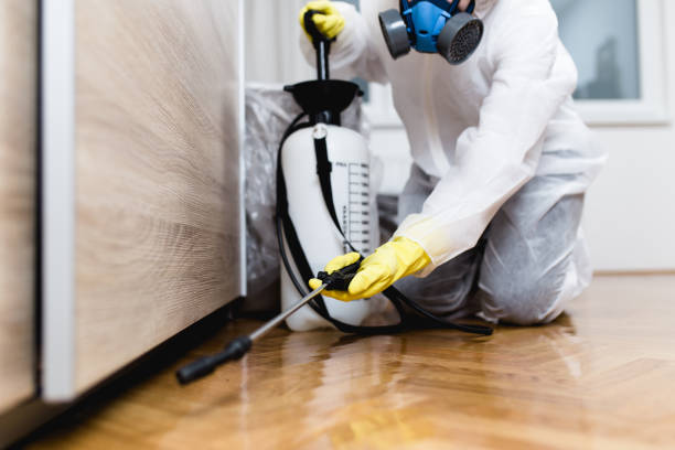 Wasp Removal Services in Seven Lakes, NC