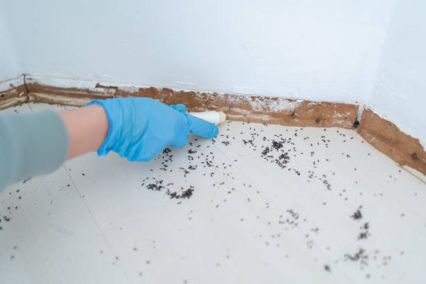Seven Lakes, NC Pest Control Company